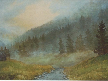 Milówka 2007 - zdjęcie2