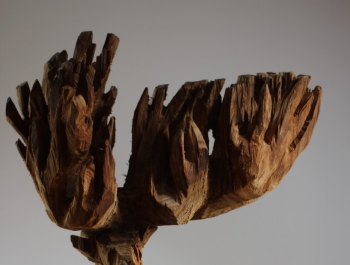 ZBIGNIEW BURY - RZEŹBY Z DRZEW - zdjęcie7