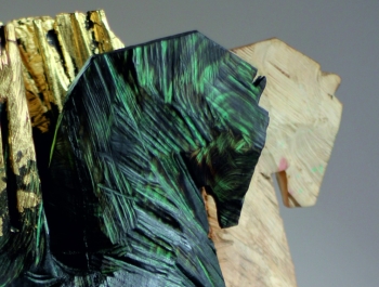 ZBIGNIEW BURY - RZEŹBY Z DRZEW - zdjęcie1