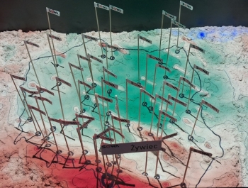 Strefa Odkrywania, Wyobraźni i Aktywności - zdjęcie42