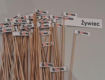 Strefa Odkrywania, Wyobraźni i Aktywności - zdjęcie50