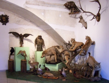 70 Lat Muzeum w Żywcu - zdjęcie24