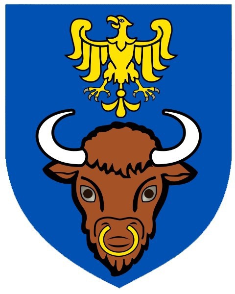 „Dni Żywca”