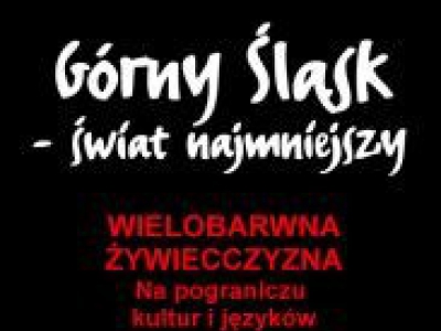 WIELOBARWNA ŻYWIECCZYZNA. - zdjęcie1