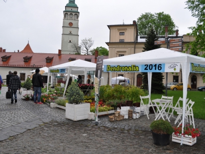 VII NOC W MUZEUM ORAZ DENDRONALIA 2016 - zdjęcie14