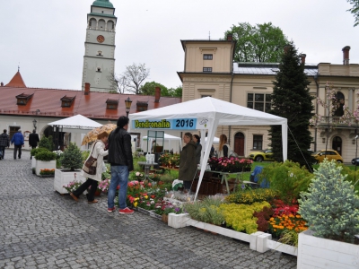VII NOC W MUZEUM ORAZ DENDRONALIA 2016 - zdjęcie15