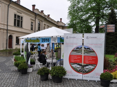 VII NOC W MUZEUM ORAZ DENDRONALIA 2016 - zdjęcie16