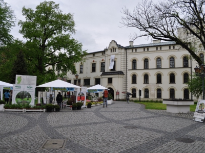 VII NOC W MUZEUM ORAZ DENDRONALIA 2016 - zdjęcie18