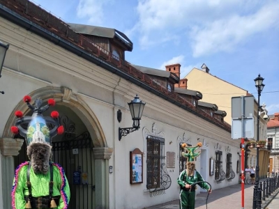 Beskidzki Festiwal Nauki i Sztuki 2025 - zdjęcie7
