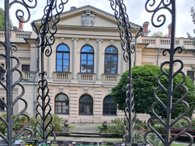 KROKUSY DLA KSIĘŻNEJ MARII KRYSTYNY HABSBURG! - zdjęcie3