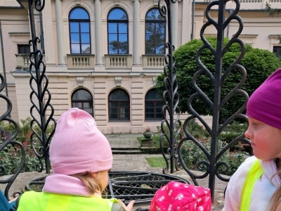 KROKUSY DLA KSIĘŻNEJ MARII KRYSTYNY HABSBURG! - zdjęcie4