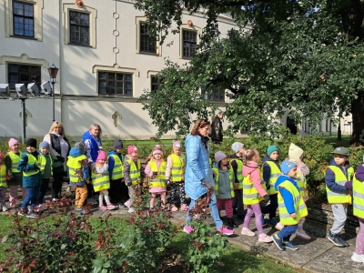 KROKUSY DLA KSIĘŻNEJ MARII KRYSTYNY HABSBURG! - zdjęcie8
