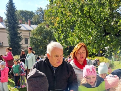 KROKUSY DLA KSIĘŻNEJ MARII KRYSTYNY HABSBURG! - zdjęcie12