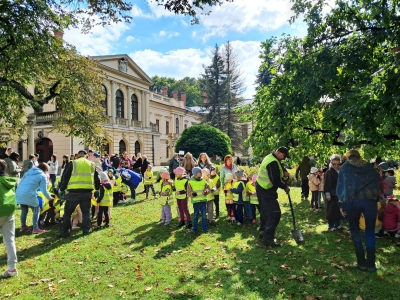 KROKUSY DLA KSIĘŻNEJ MARII KRYSTYNY HABSBURG! - zdjęcie14
