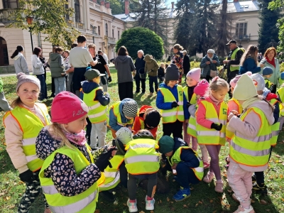 KROKUSY DLA KSIĘŻNEJ MARII KRYSTYNY HABSBURG! - zdjęcie16