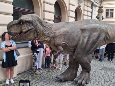 Festiwal dziewięćsił po raz kolejny połączył historię, tradycję i dobrą zabawę - zdjęcie9