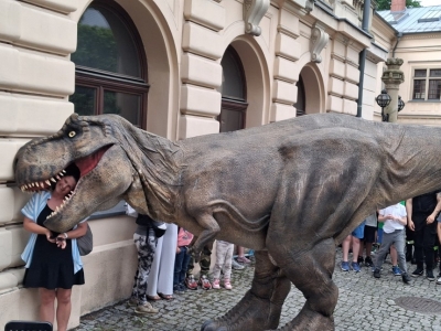 Festiwal dziewięćsił po raz kolejny połączył historię, tradycję i dobrą zabawę - zdjęcie67