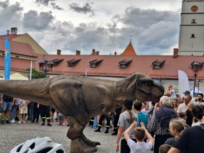 Festiwal dziewięćsił po raz kolejny połączył historię, tradycję i dobrą zabawę - zdjęcie4