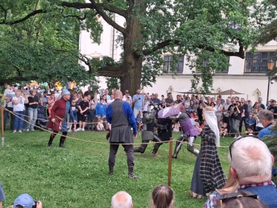 Festiwal dziewięćsił po raz kolejny połączył historię, tradycję i dobrą zabawę - zdjęcie2