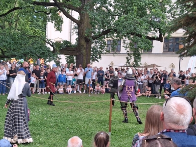 Festiwal dziewięćsił po raz kolejny połączył historię, tradycję i dobrą zabawę - zdjęcie20