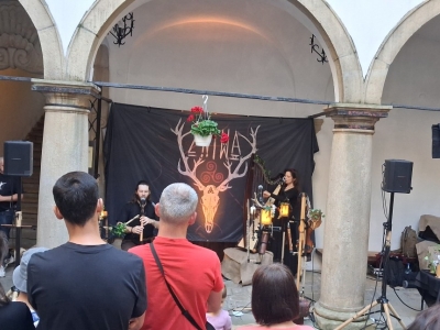 Festiwal dziewięćsił po raz kolejny połączył historię, tradycję i dobrą zabawę - zdjęcie53