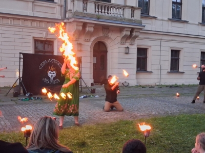 Festiwal dziewięćsił po raz kolejny połączył historię, tradycję i dobrą zabawę - zdjęcie38