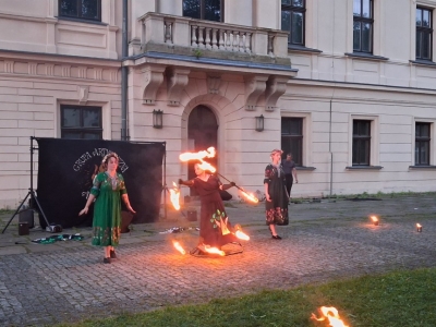 Festiwal dziewięćsił po raz kolejny połączył historię, tradycję i dobrą zabawę - zdjęcie40