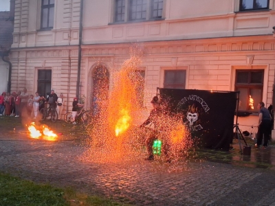 Festiwal dziewięćsił po raz kolejny połączył historię, tradycję i dobrą zabawę - zdjęcie30