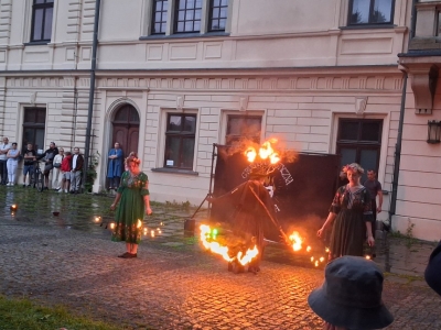 Festiwal dziewięćsił po raz kolejny połączył historię, tradycję i dobrą zabawę - zdjęcie36