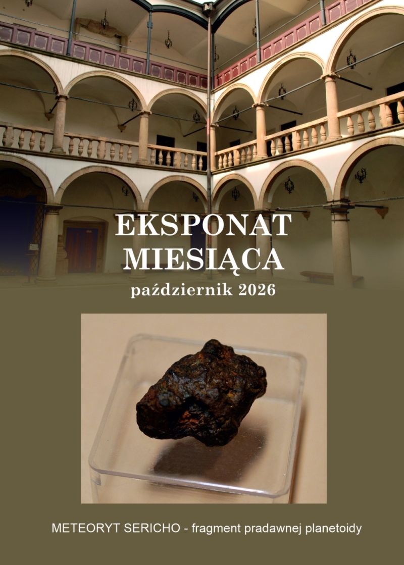 EKSPONAT PAŹDZIERNIKA 2026 PLANETOIDA (709844)